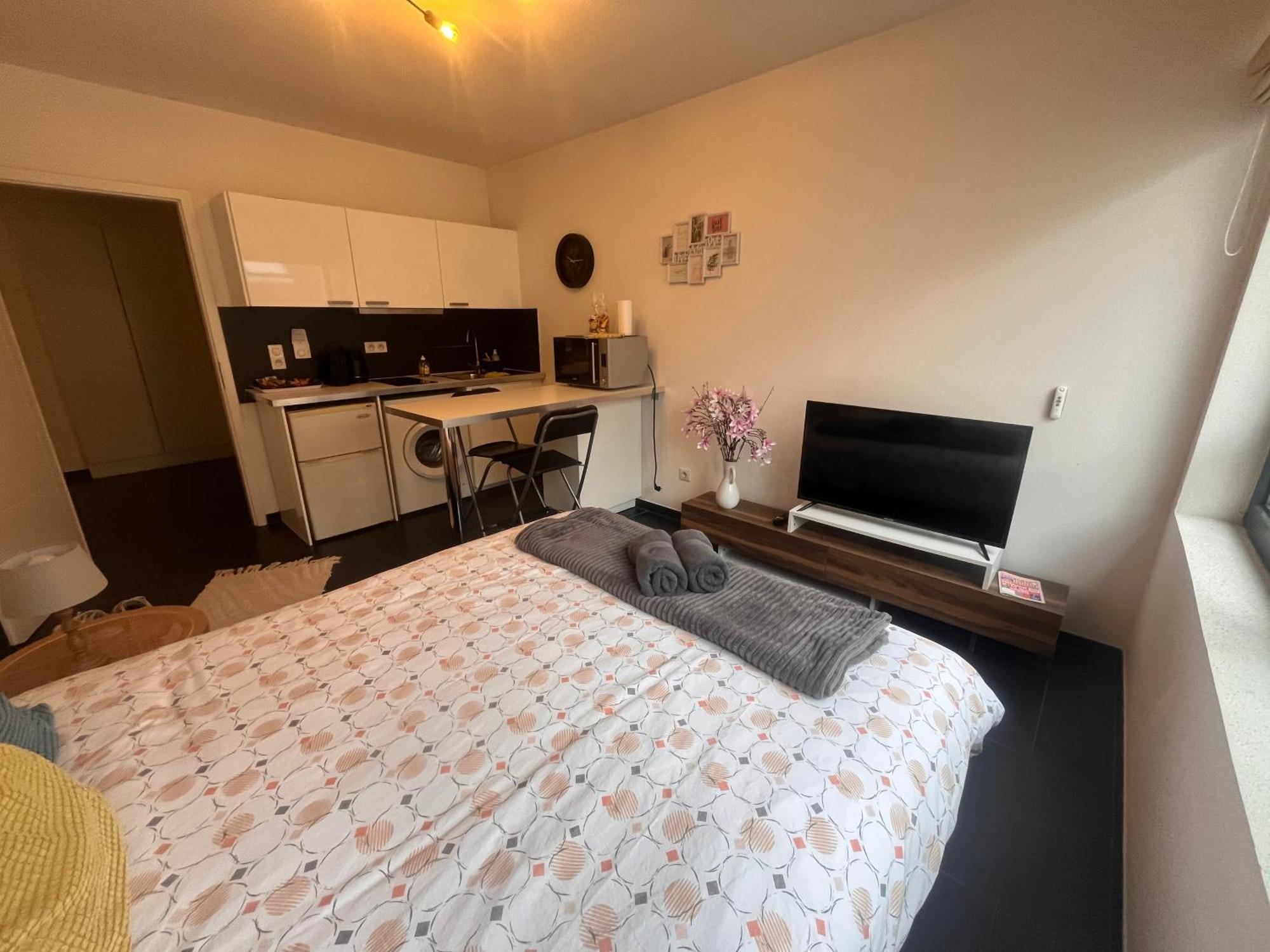 Nid Douillet De La Pie Lägenhet Strasbourg Exteriör bild